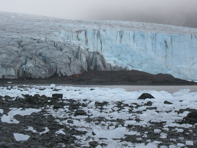 Ecology Glacier, King George Island, Antarctica